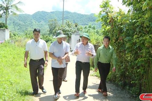 Chủ tịch UBND tỉnh kiểm tra địa điểm xây dựng trường liên cấp Chiềng Khương