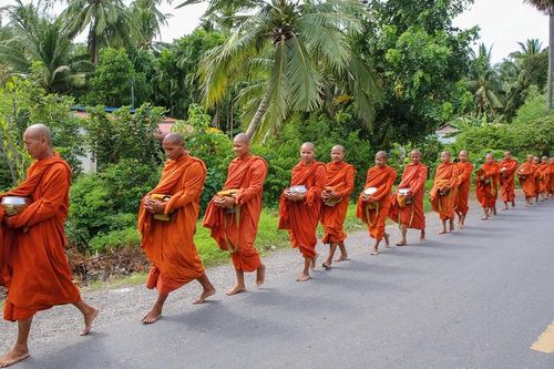 Hương đạo giữa gió đời