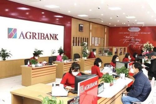 Agribank Phan Rang còn nhiều tồn tại, hạn chế trong thẩm định và giám sát tín dụng