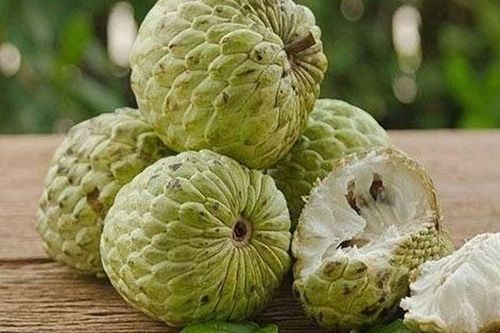 Thứ cực độc ẩn trong quả na nhưng ít ai biết: Cảnh báo nguy cơ ngộ độc, thậm chí mù lòa nếu sử dụng sai cách