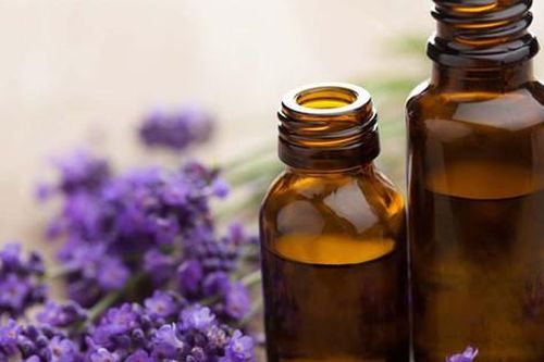 Cách nào giúp chống muỗi mà không gây hại?