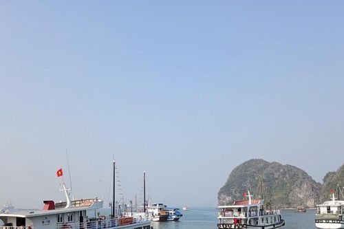 Quảng Ninh ngừng cấp phép cho các phương tiện thủy do bão số 5