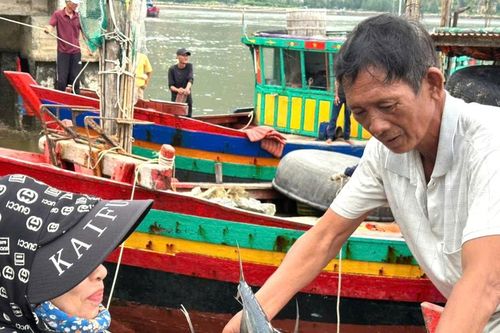 Hối hả ở cảng cá trước thời khắc bão đổ bộ