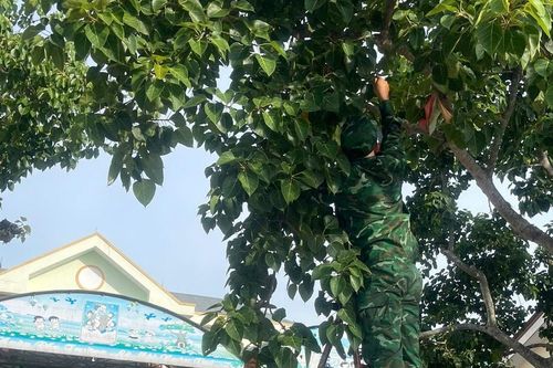 Quảng Trị: Cho học sinh, sinh viên nghỉ học từ 25/8