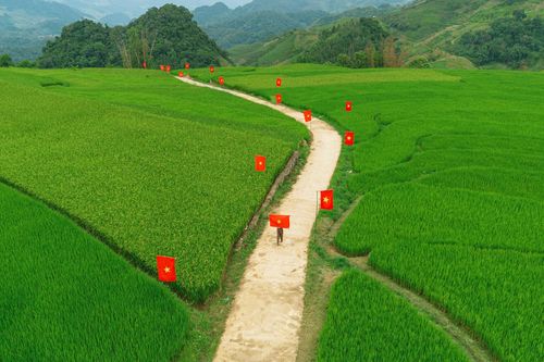 Cảnh cờ đỏ sao vàng uốn lượn theo ruộng bậc thanh 'gây sốt'
