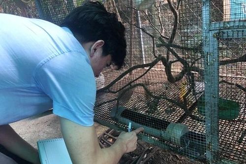 Loài côn trùng nguy hiểm nhất hành tinh, cần tránh xa