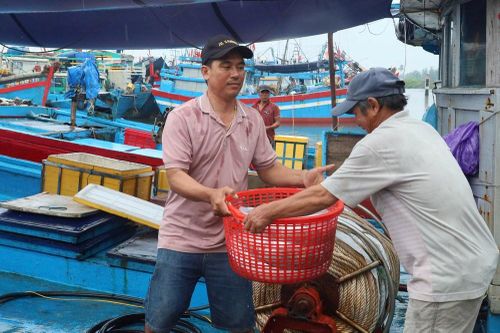 Hàng trăm tàu thuyền vào bờ tránh trú bão số 5