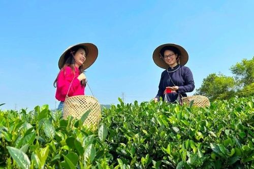 Chung tay nâng tầm sản phẩm OCOP