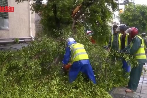 Các tỉnh duyên hải miền Nam của Trung Quốc chuẩn bị ứng phó bão Kajiki