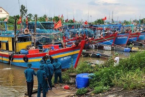 Thanh Hóa khẩn trương phòng, chống bão số 5