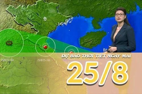 Dự báo thời tiết đêm nay và ngày mai 25/8/2025: Bão số 5 tăng cấp