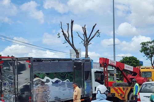 Xe tải 'húc' nhau gây kẹt xe nghiêm trọng trên đường Đỗ Mười