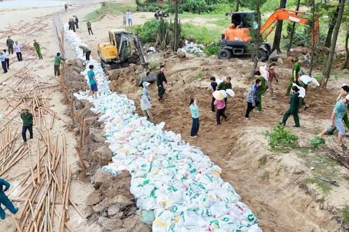 Gấp rút gia cố đê biển xung yếu, bảo vệ 600 hộ dân trước bão số 5