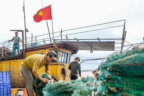 Cảnh tượng gấp rút trước bão số 5 ở Ninh Bình, ngư dân đồng loạt làm 1 việc