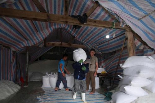 Người dân Nghệ An cấp tập di dời tài sản, thu hoạch nông sản, căng mình chống bão số 5