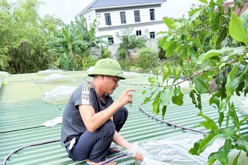 Chống bão số 5: Túi ni lông chằn mái, bếp ga mini 'cháy hàng' tại Nghệ An