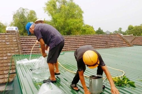 Các xã ven sông Lam chủ động ứng phó bão số 5