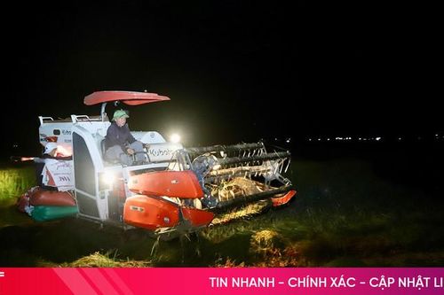 Nông dân Hà Tĩnh nửa đêm gặt lúa 'chạy' bão số 5