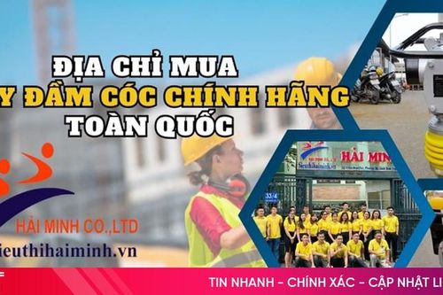Địa chỉ mua máy đầm cóc chính hãng toàn quốc