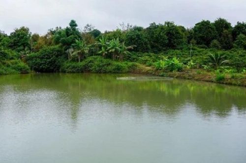 Quảng Trị: Một người đuối nước khi đi đánh bắt cá tại hồ Bàu Sen