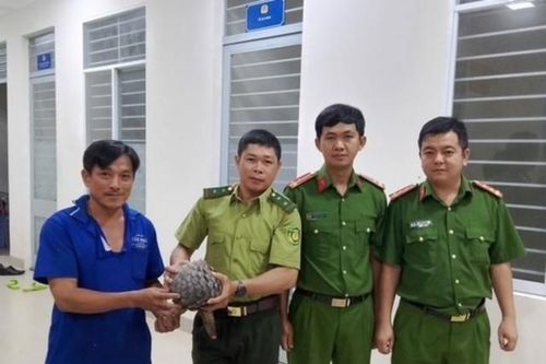 Đang đi trên đường, người đàn ông phát hiện con tê tê quý hiếm nặng gần 4kg