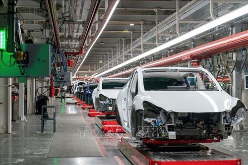 Thị trường ô tô Hàn Quốc ngày càng hướng về xe điện và xe hybrid