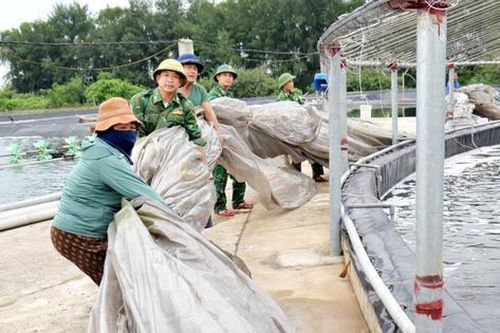Nghệ An căng mình ứng phó bão số 5: Cấp tập di dời, thu hoạch nông sản, bảo vệ tài sản
