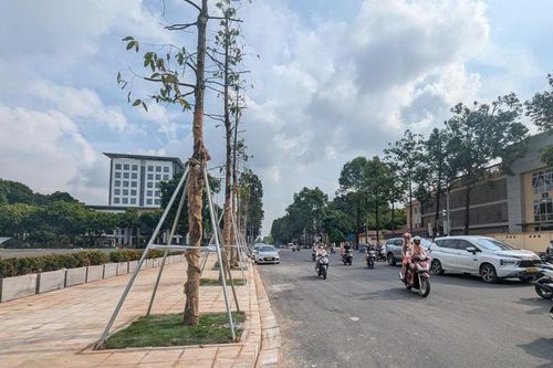 Hà Nội hoàn thành mở rộng đường Hùng Vương phục vụ Đại lễ 2/9
