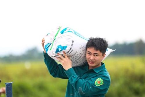 Nông dân Hà Tĩnh hối hả gặt lúa trước giờ bão đổ bộ