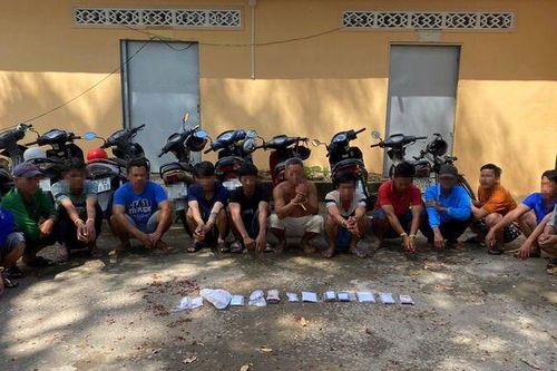Bắt quả tang 13 đối tượng đá gà qua mạng ăn thua bằng tiền