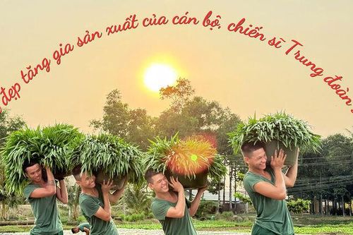 Nét đẹp tăng gia sản xuất của cán bộ, chiến sĩ Trung đoàn 20