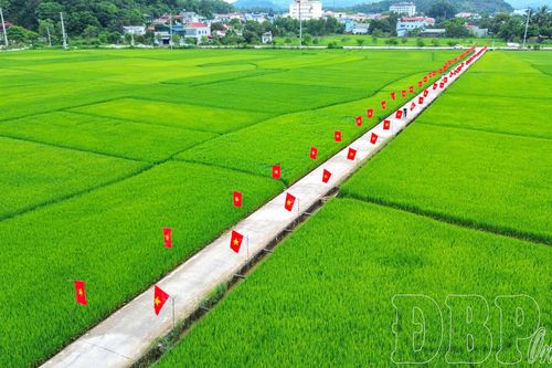 Ấn tượng 'đường cờ Tổ quốc' giữa cánh đồng Mường Thanh