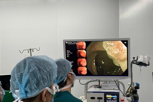 Hơn 100 chuyên gia, bác sĩ tham gia hội thảo khoa học chuyên ngành nội soi tiêu hóa