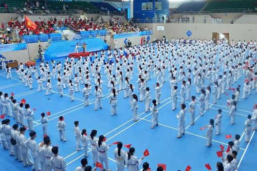 Hơn 800 võ sinh tham gia chương trình biểu diễn võ thuật và thi lên đai Taekwondo
