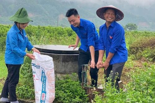 Lào Cai: Hơn 6.200 đoàn viên, thanh niên tham gia Ngày Chủ nhật xanh