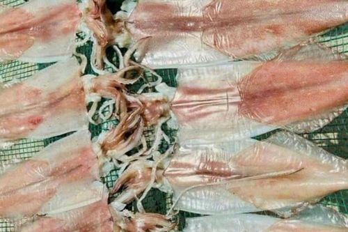 Mực, cá thu một nắng giữ vị ngon, tránh mua lầm