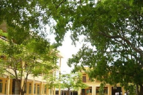 Nắng sân trường