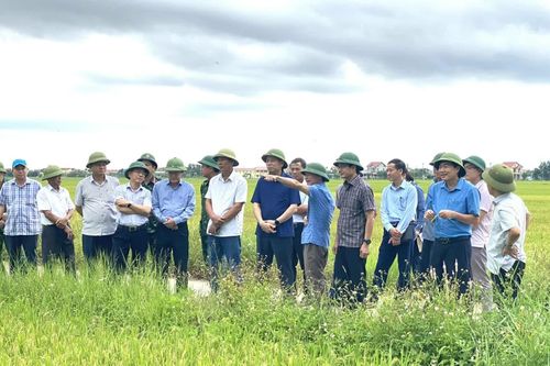 Phó Bí thư Thường trực Tỉnh ủy Nguyễn Long Hải: Tuyệt đối không được chủ quan, lơ là công tác phòng chống bão số 5