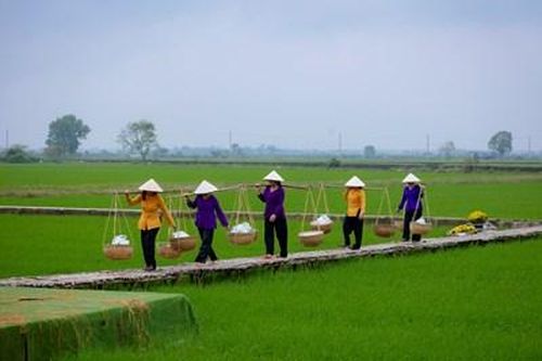 Công nghiệp văn hóa nhìn từ bún