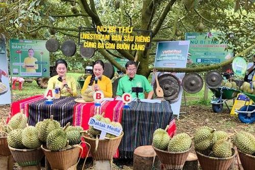 Đắk Lắk: Nữ bí thư xã ra vườn cùng bà con buôn làng livestream bán sầu riêng