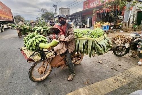 Hương chuối mật vùng Lìa