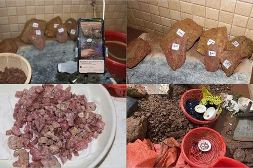 70 tài khoản mạng xã hội bị lừa 10 tỷ đồng