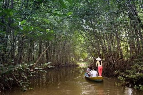 Bài cuối: Rừng Sác - 'Bảo tàng' chiến tích oanh liêt của các chiến sĩ đặc công