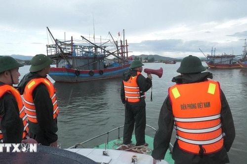 Ứng phó bão số 5: Phương án di dời 152.387 hộ dân với 586.770 khẩu