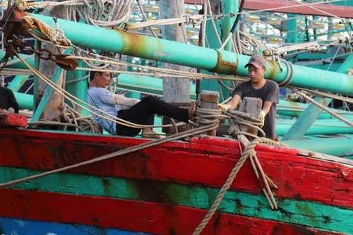 Lo bão đổ bộ, ngư dân Nghệ An hối hả đưa thuyền đi tránh