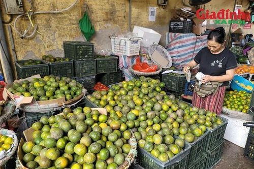 167 điểm kinh doanh tự phát làm xấu xí hình ảnh Thủ đô, nguyên nhân gì khiến 'chợ cóc' tồn tại dai dẳng?