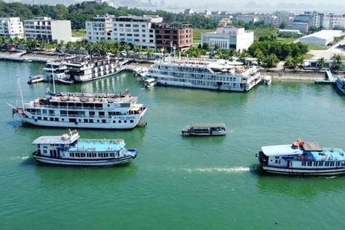 Quảng Ninh ngừng cấp phép tàu từ 13h chiều 24/8