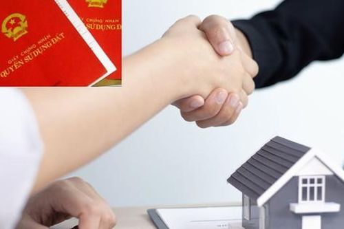 Các trường hợp không được nhận chuyển nhượng, tặng cho đất đai
