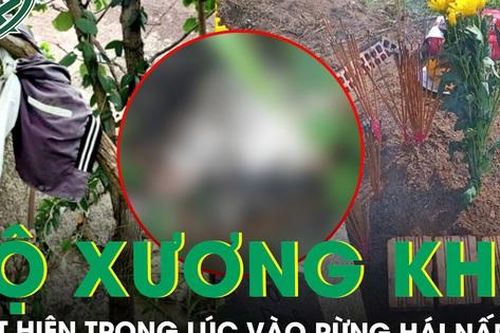 Đi hái nấm, người dân phát hiện bộ xương người phân hủy trong núi