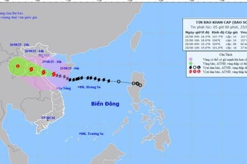 Hải Phòng: Trên 1.400 tàu, thuyền vào tránh trú an toàn